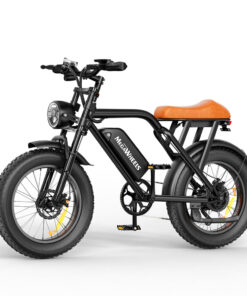 EB01 Electric Bike