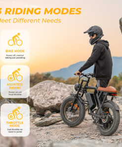 Alternative view of EB01 Electric Bike